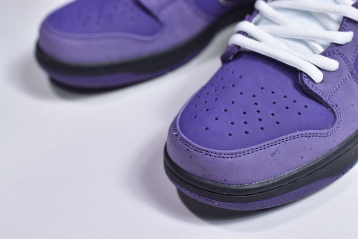 concepts x nk sb dunk low "purple lobster" bv1310-555
