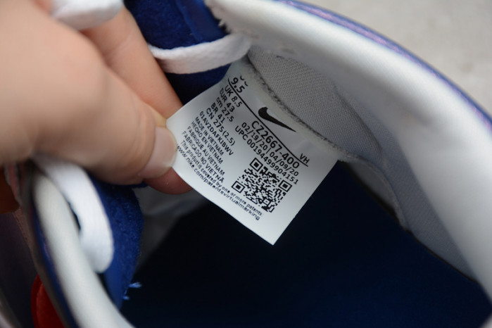 nike sb dunk low “samba” cz2667-400